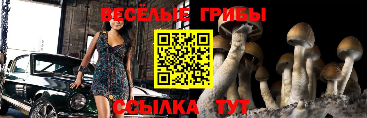 Кирово-Чепецк  Псилоцибиновые грибы GOLDEN TEACHER  Вход с VPN 